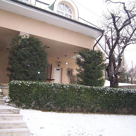 Villa Szekely Leanyfalu Bagian luar foto