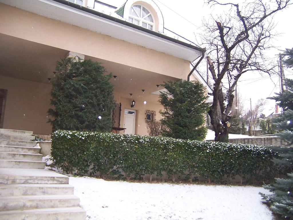 Villa Szekely Leanyfalu Bagian luar foto